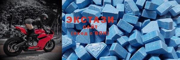 стаф Корсаков