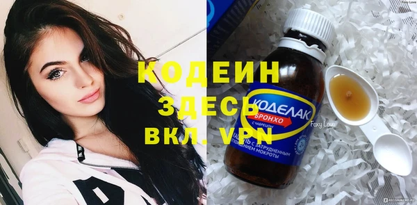 стаф Корсаков