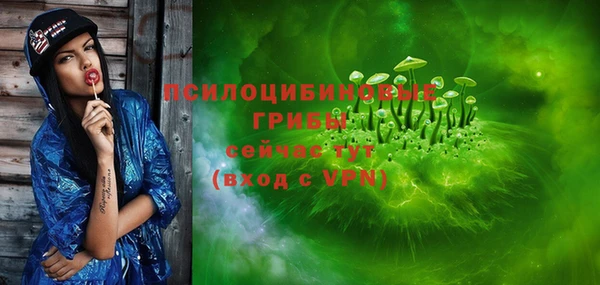 стаф Корсаков