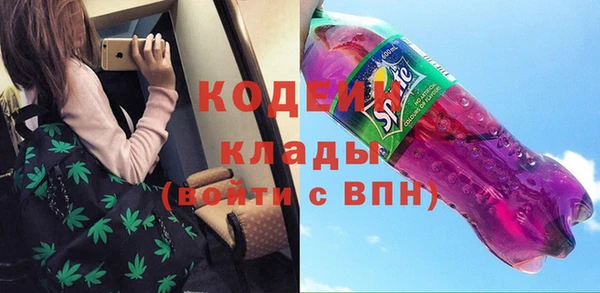 стаф Корсаков