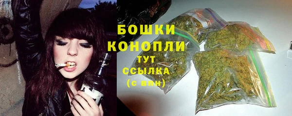стаф Корсаков