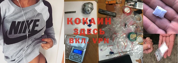 стаф Корсаков