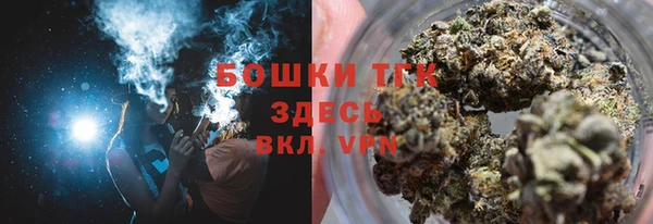 стаф Корсаков