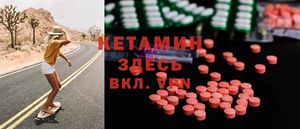 стаф Корсаков
