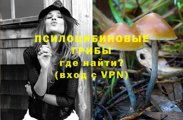 метамфетамин Козловка