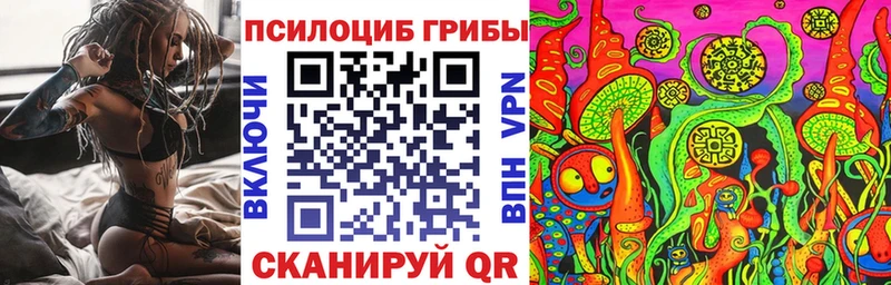 Галлюциногенные грибы Cubensis  Староминская 