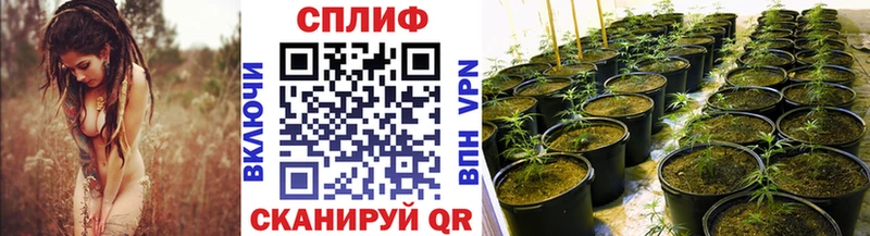 Бошки марихуана LSD WEED  даркнет какой сайт  Староминская 